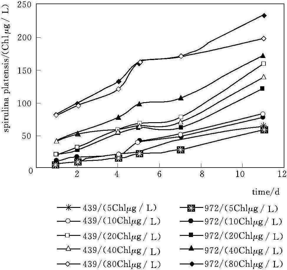 Controlling the Nitrogen and Phosphorus Strength of Municipal Wastewater with Spirulina Platensis